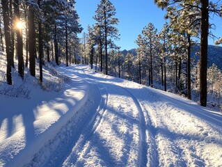 A serene snowy path winding through tall trees, illuminated by sunlight, creating a peaceful winter atmosphere.