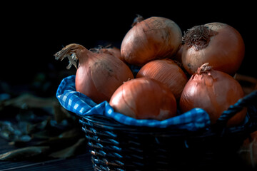 Harvesting onions in a wicker basket. Rustic still life with dark background.