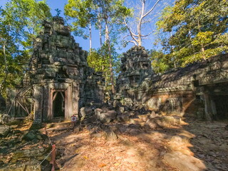 Ta Nei Wat temple in Angkor, Cambodia