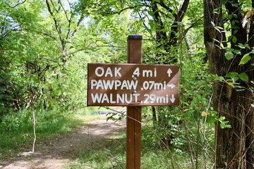 A close view of the old wood trail sign in the woods.