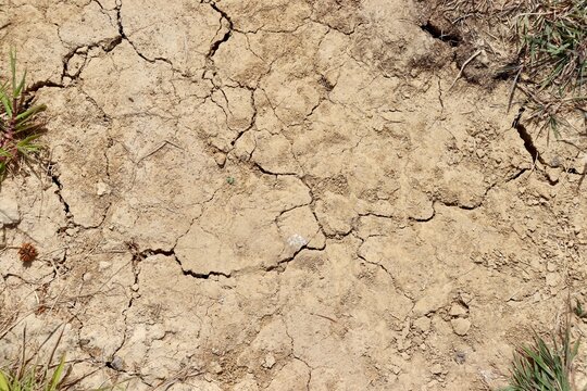 A close view of the dry cracked dirt ground surface.