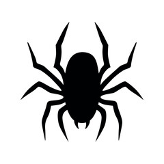 Spider vector icon.  insect symbol. halloween illustration sign. insect symbol. spiderweb logo. A vector illustration of a classic iconic spider.