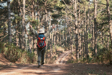 Obraz premium Travelers hiking through a forest with backpacks, exploring the wilderness and taking in the sights of nature as they walk.