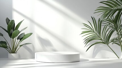 Minimalist white display platform with plants