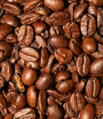 plan en fond uni brun de café torréfié, délicatement, art de la table, dégustation de café, arrière plan de grain de café brun, png, en transparence