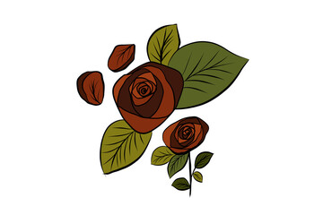 hand drawn rose