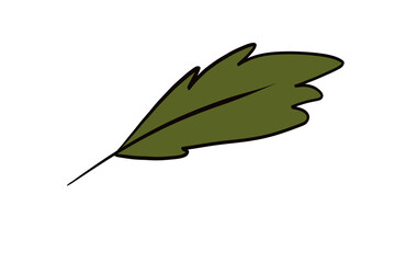 green leaf isolated on white png cartoon 