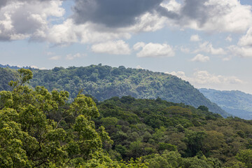 Fototapeta premium Forest mountain landscape of Arusha National Park in Tanzania East Africa