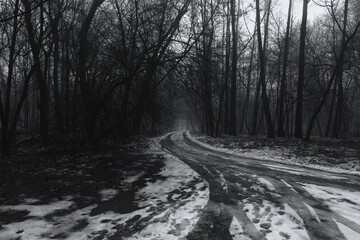 Snow covered road in the woods, winter atmospheric black metal forest, dark horror atmosphere,...