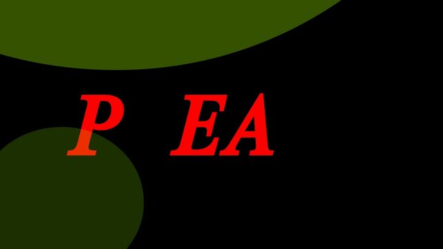 please pay first animation. motion graphic with simple typography. High quality video
