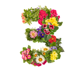 Number 3 made of flowers