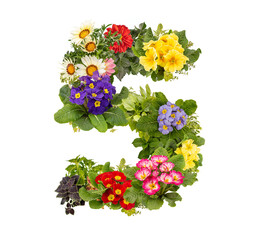 Number 5 made of flowers