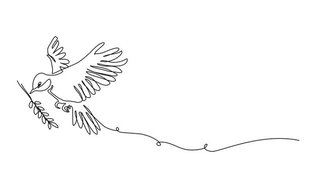 Great tit bird in flight with wheat spikelet, animated illustration. One continuous self drawing line animation, footage of of great tit
