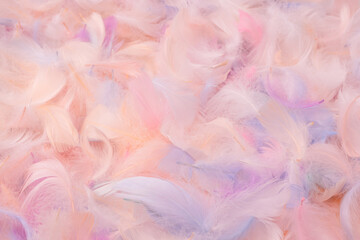 Colorful feather background, top view.