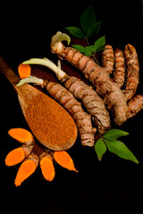 Açafrão da Terra