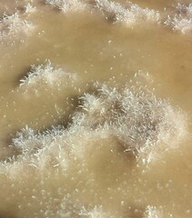 Delicate ice crystals are visible on the surface of a salt flat, illuminated by the warm glow of sunrise. The scene captures the beauty of nature in a tranquil desert environment.