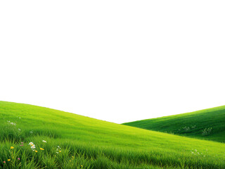 Obraz premium wide panorama of beautiful hilly meadow grass landscape cut out isolated on transparent background