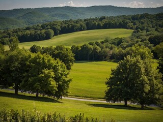 Obraz premium landscape with trees