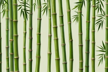 Fototapeta premium a close up of a bunch of bamboo stalks with green stems