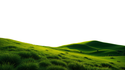 green grassland landscape cut out  isolated on or transparent background