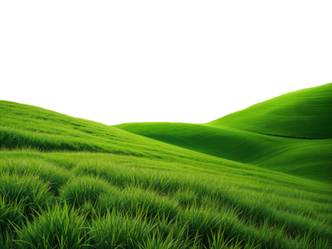 green grassland landscape cut out  isolated on or transparent background