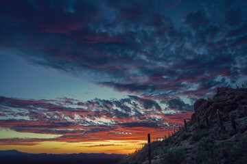 Spectacular Desert Sunset Over Mountains and Cacti With Vibrant Colorful Skies