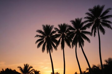 Naklejka premium araffe palm trees in silhouette against a sunset sky
