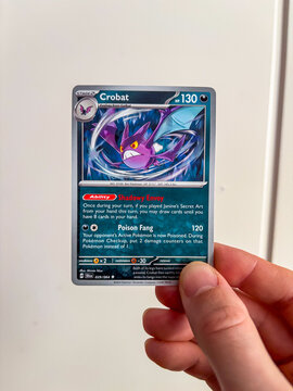 Hamburg, Germany - 12232024: male hand holding the English pokemon paper trading card called Crobat from the Shrouded Fable set. 
