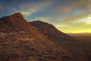 Sunset over a scenic desert landscape featuring rugged hills, vibrant yellows, and cacti characteristic of arid regions, creating a serene and picturesque moment in nature.