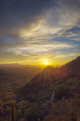 Beautiful sunset casting golden hues over a scenic desert landscape adorned with cacti and cloudy skies, conveying serenity and natural beauty.