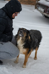 Dog posing outdoors with it's owner in a snow in winter. Winter concept. High quality photo.