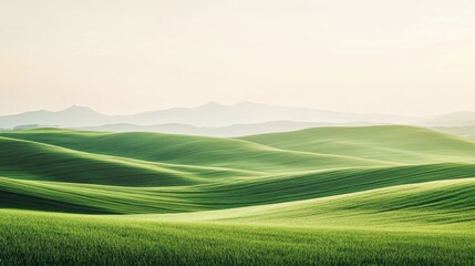 Obraz premium Rolling Green Hills at Sunrise with Misty Mountains