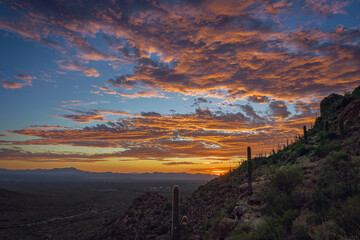Vivid desert sunset showcasing a colorful sky over a cactus-filled hillside, evoking serenity and natural beauty. This breathtaking scene captures the magic of the southwestern desert landscape.