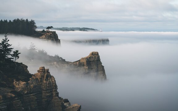 fog in nature, Misty coastal cliffs, ocean view, dramatic rock formations.