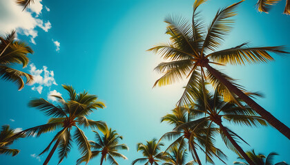 Looking up at blue sky and palm trees, view from below, vintage style, tropical beach and summer background, travel concept, Backlit, with white tones