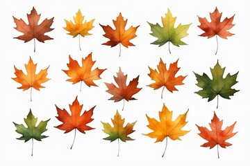 a close up of a bunch of different colored leaves on a white surface
