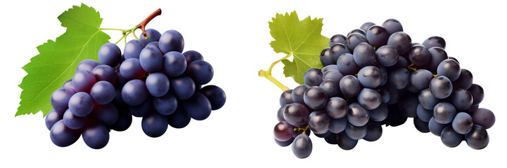 Fototapeta premium Set of a bunch of fresh blue grapes, isolated on transparent background.