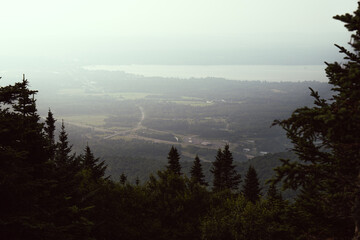 elevated point of view of a valley with a the silhouette of pine trees in the foreground in summer...
