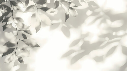 abstract leaf shadow