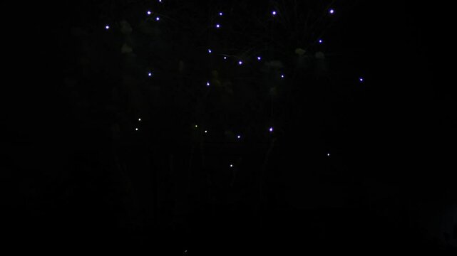 silver blue green sparks scattering fireworks on the black night sky. General plan