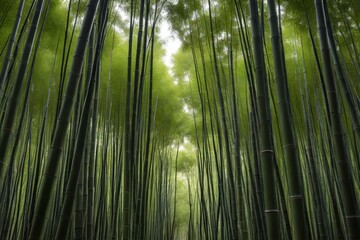 arafed view of a bamboo forest with a path leading to it