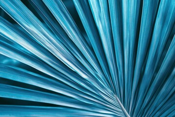 Obraz premium Close-up View of Radiant Blue Palm Leaf with Textured Patterns and Natural Lighting in a Tropical Environment for Nature and Botany Enthusiasts