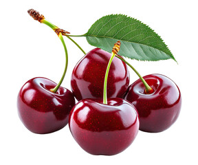 Fresh cherries with stems and green leaf, isolated on transparent cutout background 