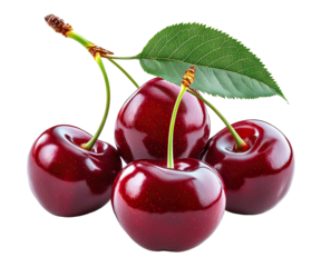 Fresh cherries with stems and green leaf, isolated on transparent cutout background

