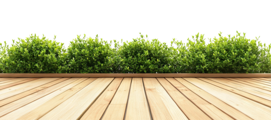 Wooden deck with lush green bushes, isolated on transparent cutout background