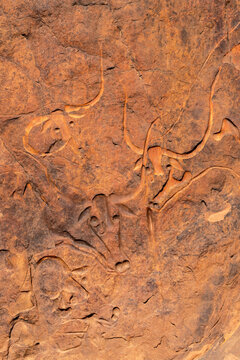 Rock engravings near Djanet, Southern Algeria called La vache qui pleure, or crying cow.