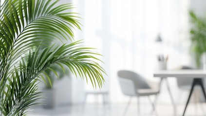 Fototapeta premium A serene office with a modern desk and a focus on a healthy palm plant The background is blurred creating