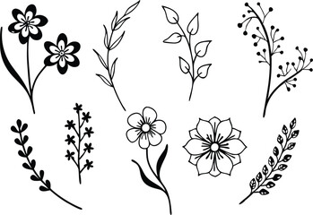 Top-Rated Vector Flower Pack for Professionals
