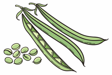 Green Beans Silhouette: Long, Slender Pods with Gentle Curves on White Background