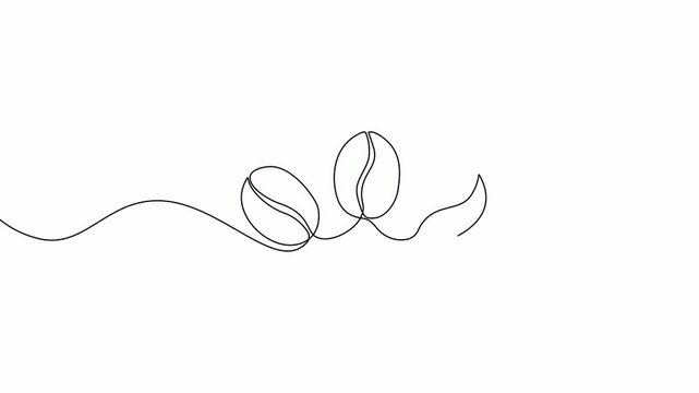 Video. Continuous single line coffee bean pattern. Whole healthy organic coffee bean, cafe concept, for restaurant menu. Animation on white background 4K.